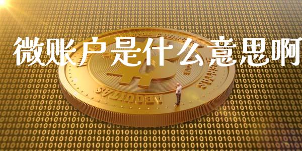 微账户是什么意思啊_https://wap.78312.cn_全球市场_第1张
