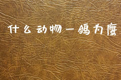 什么动物一鸽为鹰_https://wap.78312.cn_全球市场_第1张