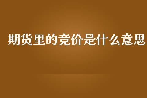 期货里的竞价是什么意思_https://wap.78312.cn_金融监管_第1张