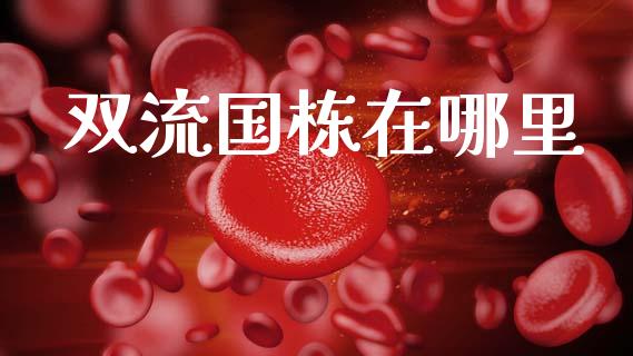 双流国栋在哪里_https://wap.78312.cn_财经新闻_第1张