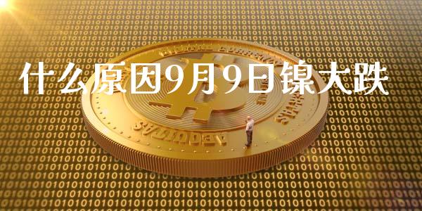 什么原因9月9日镍大跌_https://wap.78312.cn_期货开户_第1张