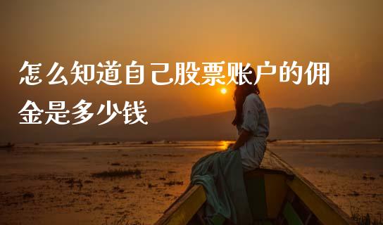怎么知道自己股票账户的佣金是多少钱_https://wap.78312.cn_全球市场_第1张