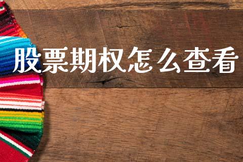 股票期权怎么查看_https://wap.78312.cn_外汇交易_第1张