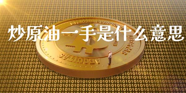 炒原油一手是什么意思_https://wap.78312.cn_外汇交易_第1张