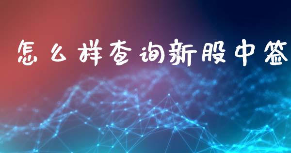 怎么样查询新股中签_https://wap.78312.cn_期货开户_第1张