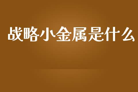 战略小金属是什么_https://wap.78312.cn_金融监管_第1张