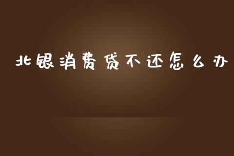 北银消费贷不还怎么办_https://wap.78312.cn_全球市场_第1张