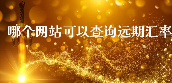 哪个网站可以查询远期汇率_https://wap.78312.cn_金融监管_第1张
