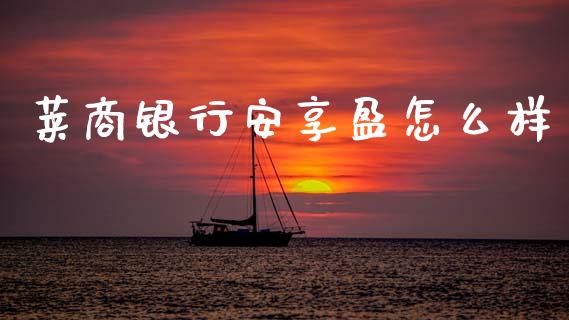 莱商银行安享盈怎么样_https://wap.78312.cn_财经新闻_第1张