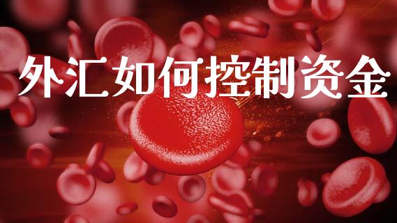 外汇如何控制资金_https://wap.78312.cn_全球市场_第1张