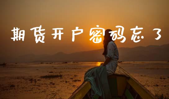 期货开户密码忘了_https://wap.78312.cn_期货开户_第1张