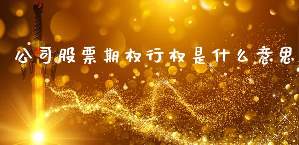 公司股票期权行权是什么意思_https://wap.78312.cn_全球市场_第1张