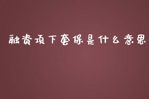 融资项下套保是什么意思_https://wap.78312.cn_全球市场_第1张