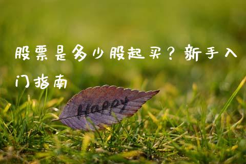 股票是多少股起买？新手入门指南_https://wap.78312.cn_全球市场_第1张