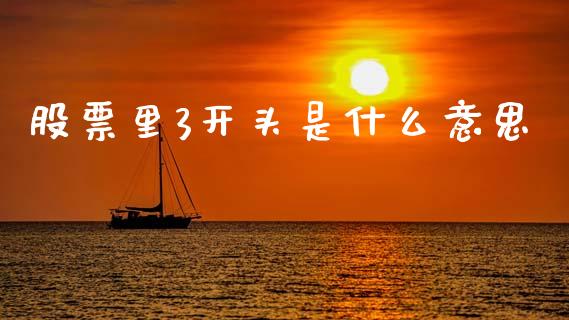 股票里3开头是什么意思_https://wap.78312.cn_债券资讯_第1张
