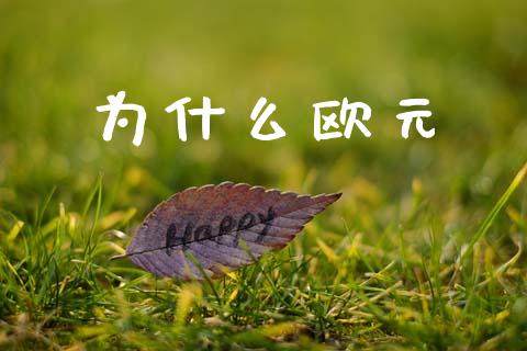 为什么欧元_https://wap.78312.cn_金融监管_第1张