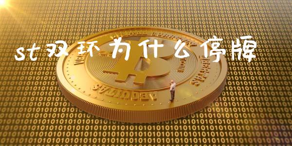 st双环为什么停牌_https://wap.78312.cn_债券资讯_第1张