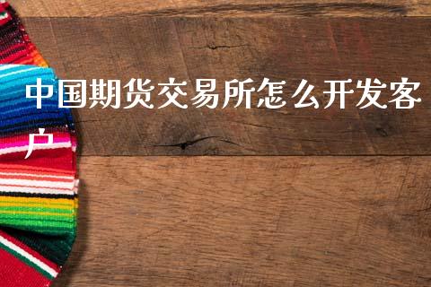 中国期货交易所怎么开发客户_https://wap.78312.cn_期货开户_第1张