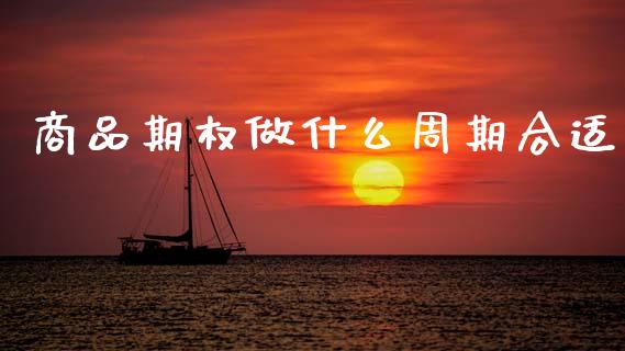 商品期权做什么周期合适_https://wap.78312.cn_债券资讯_第1张