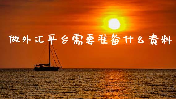 做外汇平台需要准备什么资料_https://wap.78312.cn_金融监管_第1张