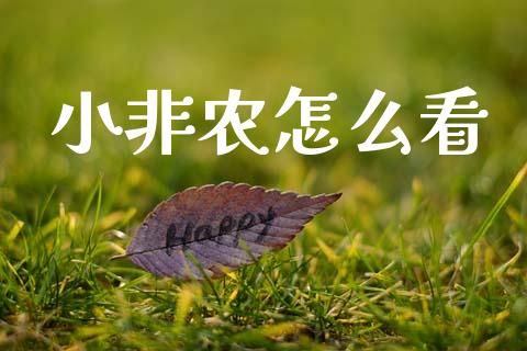 小非农怎么看_https://wap.78312.cn_金融监管_第1张
