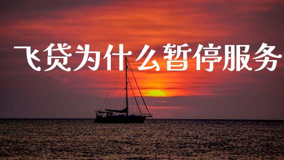 飞贷为什么暂停服务_https://wap.78312.cn_外汇交易_第1张