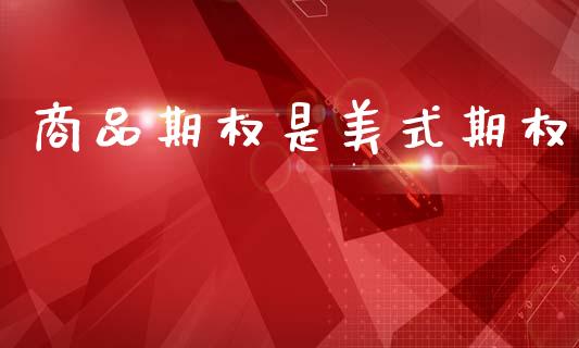 商品期权是美式期权_https://wap.78312.cn_财经新闻_第1张