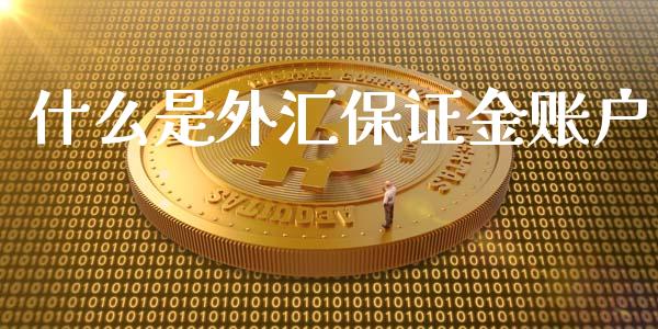 什么是外汇保证金账户_https://wap.78312.cn_期货开户_第1张