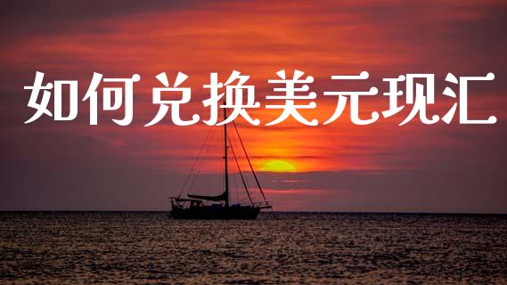 如何兑换美元现汇_https://wap.78312.cn_财经新闻_第1张