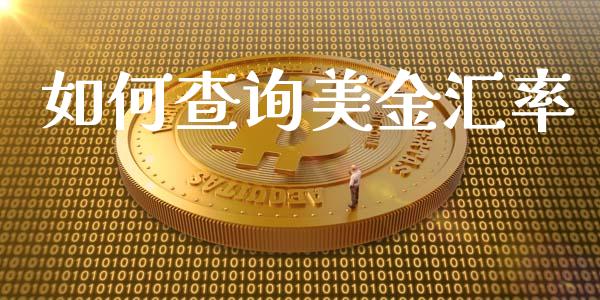 如何查询美金汇率_https://wap.78312.cn_期货开户_第1张