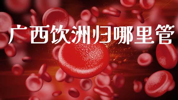 广西饮洲归哪里管_https://wap.78312.cn_金融监管_第1张