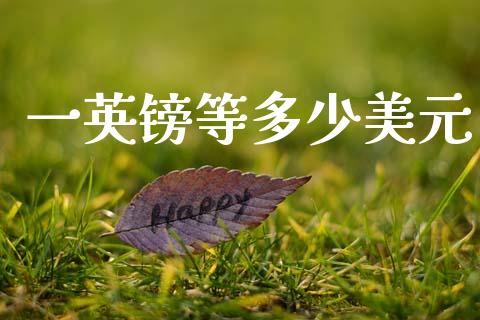 一英镑等多少美元_https://wap.78312.cn_金融监管_第1张
