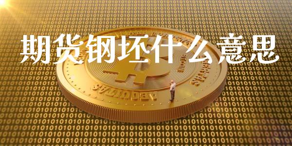 期货钢坯什么意思_https://wap.78312.cn_债券资讯_第1张