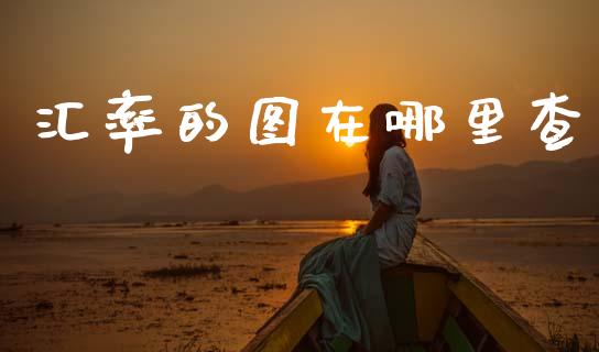 汇率的图在哪里查_https://wap.78312.cn_财经新闻_第1张