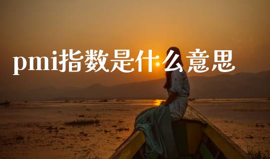pmi指数是什么意思_https://wap.78312.cn_外汇交易_第1张