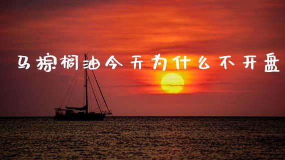 马棕榈油今天为什么不开盘_https://wap.78312.cn_金融监管_第1张