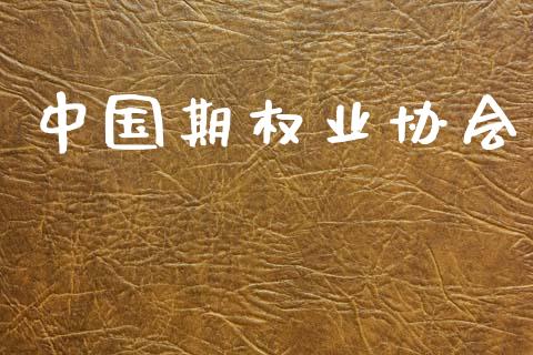 中国期权业协会_https://wap.78312.cn_债券资讯_第1张