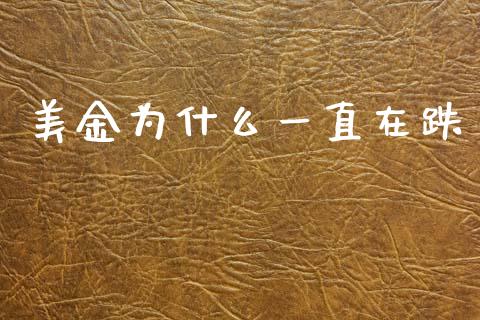 美金为什么一直在跌_https://wap.78312.cn_全球市场_第1张