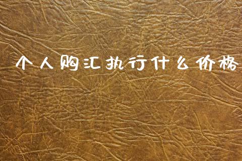 个人购汇执行什么价格_https://wap.78312.cn_金融监管_第1张