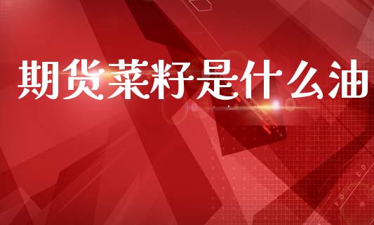 期货菜籽是什么油_https://wap.78312.cn_财经新闻_第1张