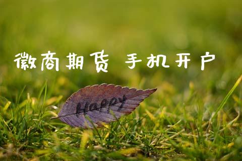 徽商期货 手机开户_https://wap.78312.cn_金融监管_第1张
