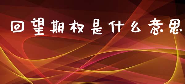 回望期权是什么意思_https://wap.78312.cn_金融监管_第1张