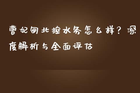 曹妃甸北控水务怎么样？深度解析与全面评估_https://wap.78312.cn_财经新闻_第1张