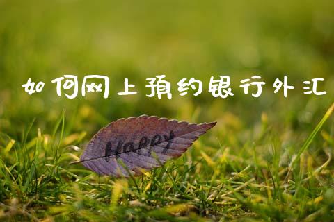 如何网上预约银行外汇_https://wap.78312.cn_外汇交易_第1张