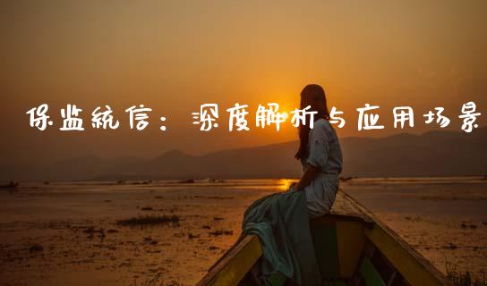 保监统信：深度解析与应用场景_https://wap.78312.cn_债券资讯_第1张