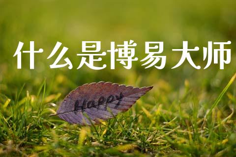 什么是博易大师_https://wap.78312.cn_金融监管_第1张
