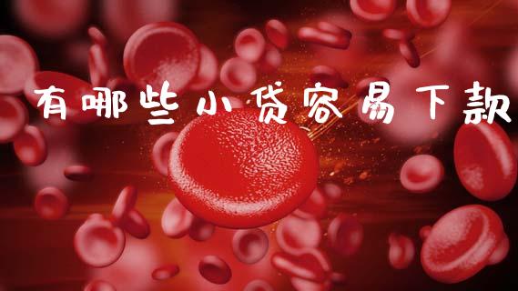 有哪些小贷容易下款_https://wap.78312.cn_金融监管_第1张
