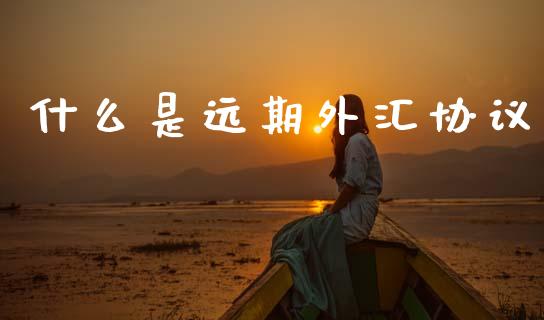 什么是远期外汇协议_https://wap.78312.cn_债券资讯_第1张