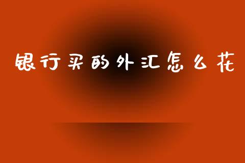 银行买的外汇怎么花_https://wap.78312.cn_外汇交易_第1张