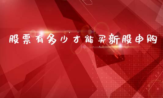 股票有多少才能买新股申购_https://wap.78312.cn_债券资讯_第1张